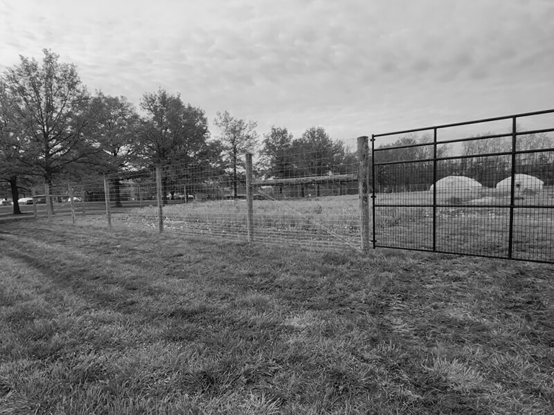 Central and Southern Indiana goat fence.